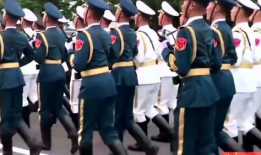仪仗队视频,震撼人心的队列表演瞬间